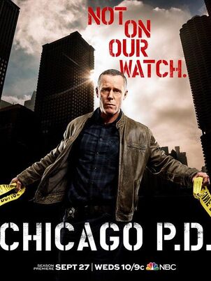 Полиция Чикаго - 2 сезон - 23 серия