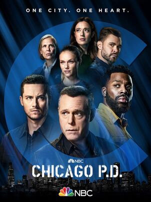 Полиция Чикаго - 4 сезон