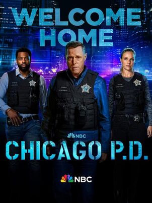 Полиция Чикаго - 5 сезон - 2 серия