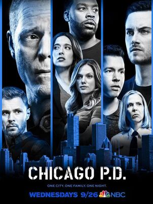 Полиция Чикаго - 3 сезон